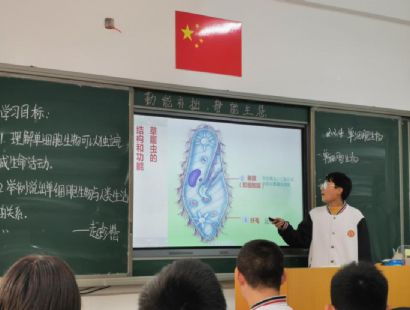 高效生物课堂展示