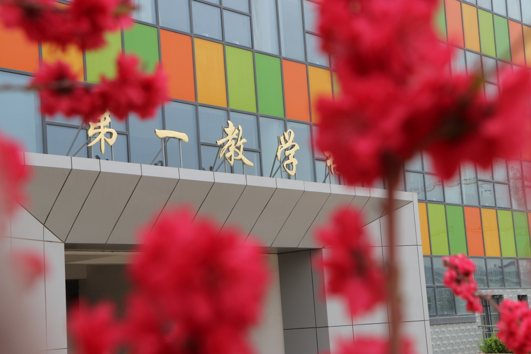 时光不负——高三年级体育特长生体育四项摸底测试纪实