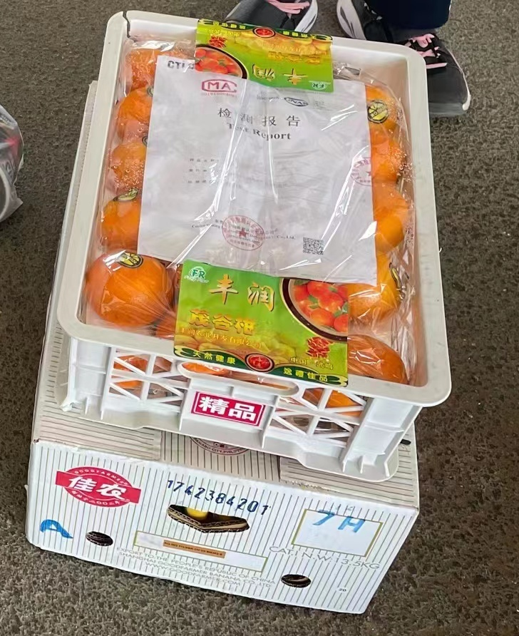 最美四月  温情中恒