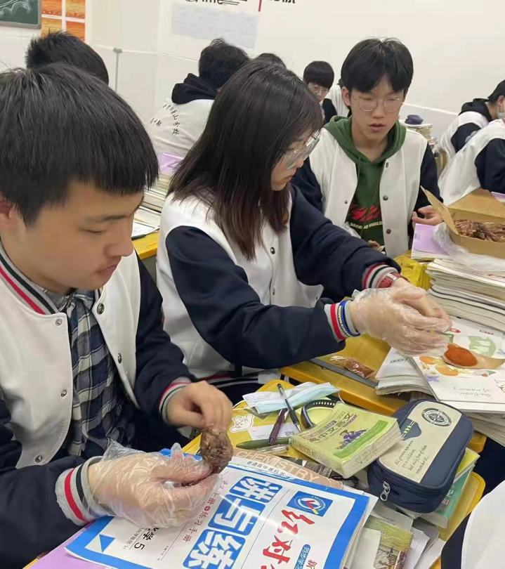 最美四月  温情中恒