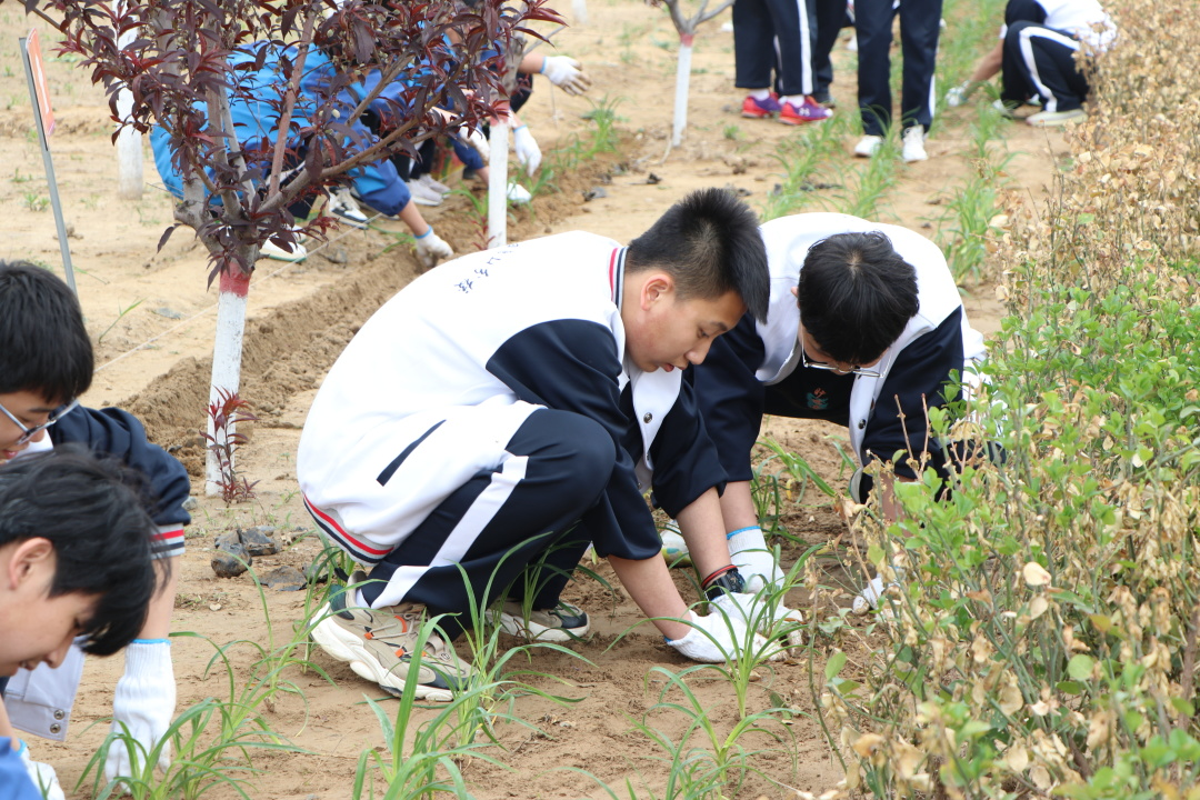 植树添新绿 不负好时光