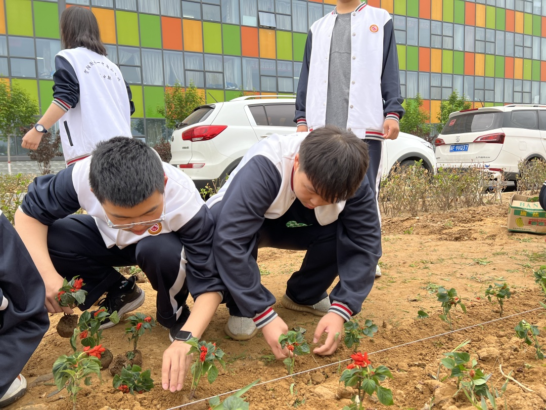 植树添新绿 不负好时光