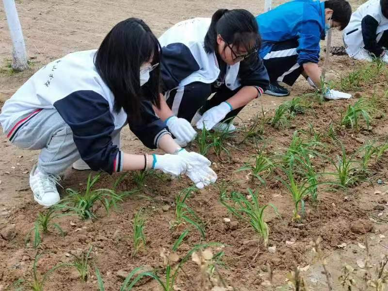 植树添新绿 不负好时光