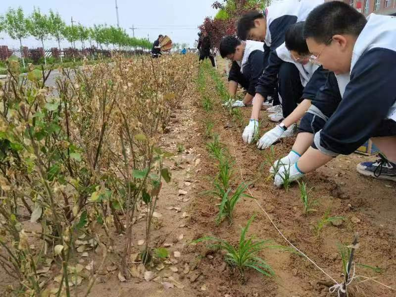 植树添新绿 不负好时光