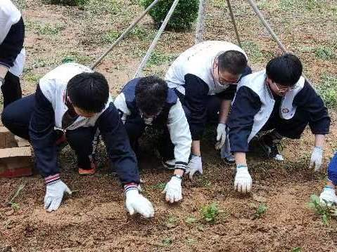 植树添新绿 不负好时光
