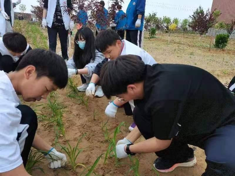 植树添新绿 不负好时光