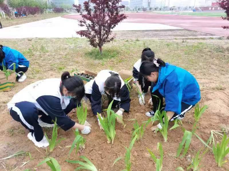 植树添新绿 不负好时光