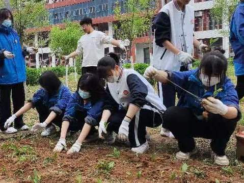 植树添新绿 不负好时光