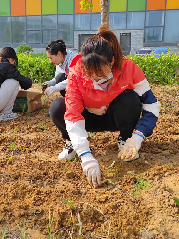 植树添新绿 不负好时光