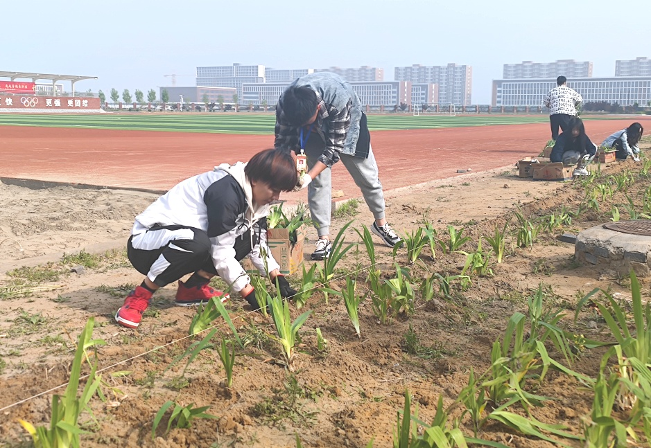 植树添新绿 不负好时光