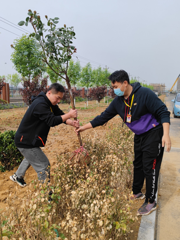 植树添新绿 不负好时光