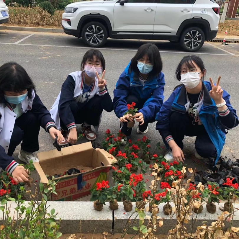 植树添新绿 不负好时光