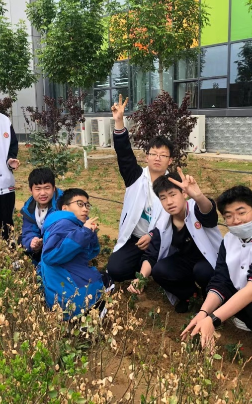 植树添新绿 不负好时光