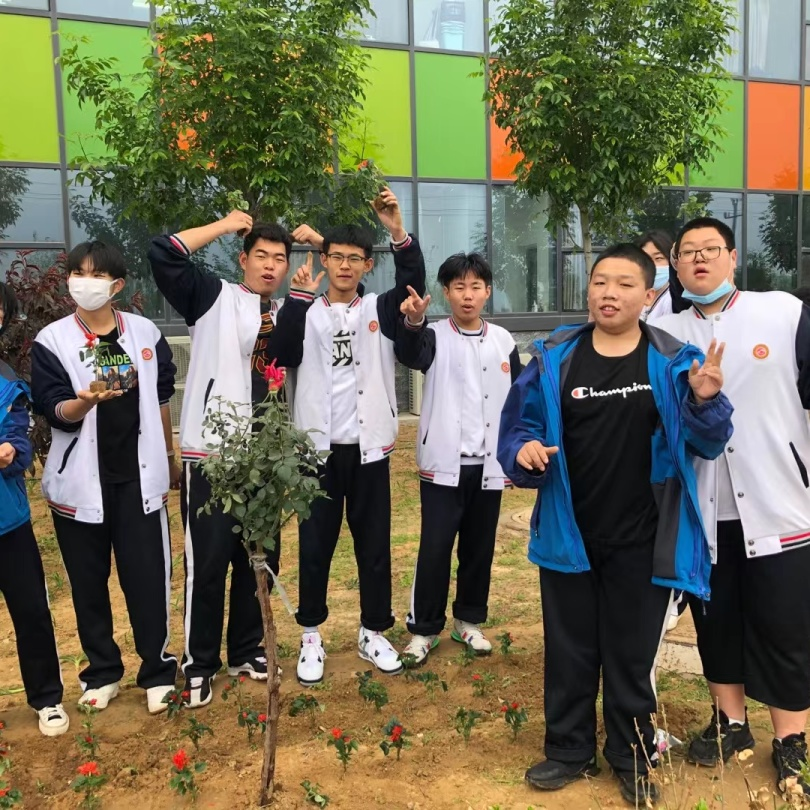 植树添新绿 不负好时光