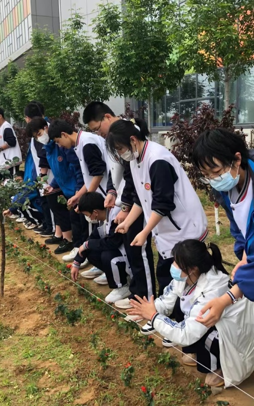植树添新绿 不负好时光