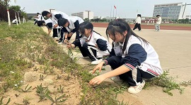 除草护绿践初心，清新校园共奋进--- 贺阳高级中学爱校实践活动